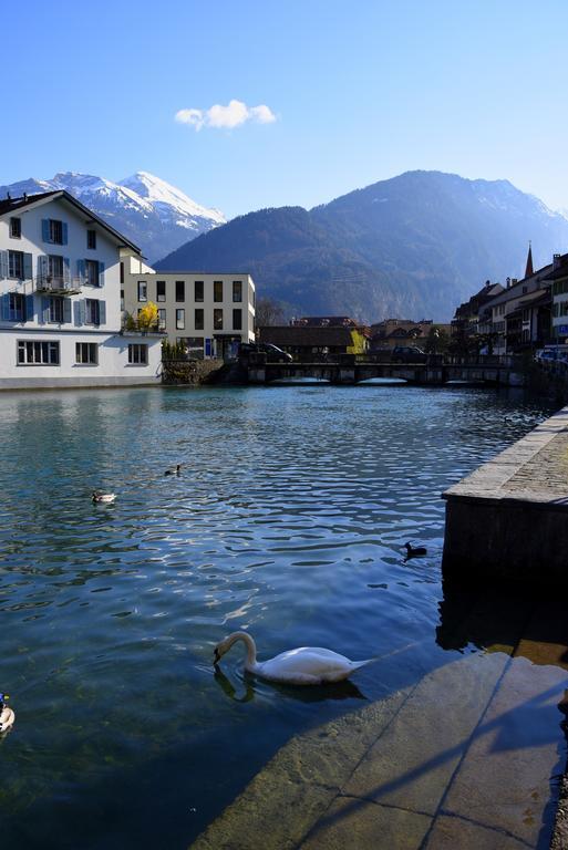 The River Holiday Apartment Interlaken Bagian luar foto